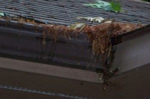 clogged gutters can cause foundation damage