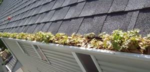 Leafless Gutters Woodbury MN