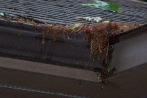 Damaged Gutters