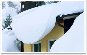 Prevent Water Damage From Leaks Or Collapsed Roof | Minnesota Leafless ...