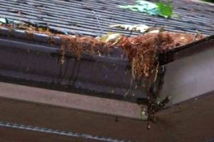 Signs It May Be Time To Replace Your MN Gutters