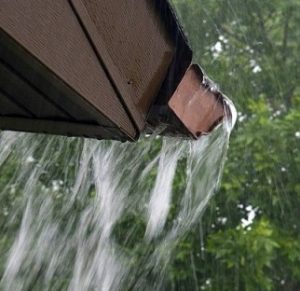 While Cleaning Check Gutters For Signs Of Damage