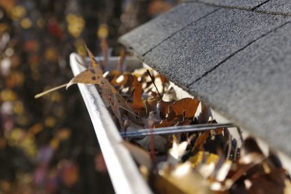 Cleaning Gutters...Why