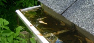 Clogged Gutters